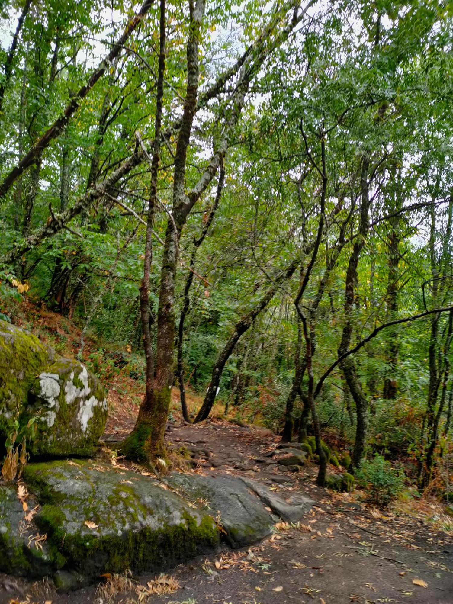 Acogedor Apartamento Valle Del Jerte Piornal Экстерьер фото